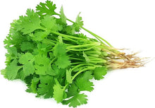 Coriander Coriandrum Sativum Seeds for cooks growing the Herb Garden & Vegetable Patch