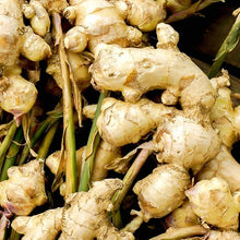 Ginger Containers for planting in home garden.