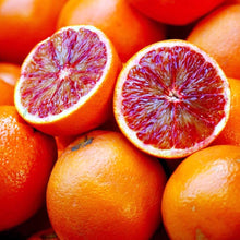 Orange Seeds (Sinensis orchard) for growers planting the Citrus home garden