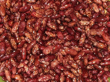 Dominican Red Spotted Kidney Beans ( LB Seeds for home growers seeking a reliable harvest