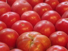 German Tomato Seeds (Solanum lycopersicum) for a reliable harvest in the Vegetable Patch