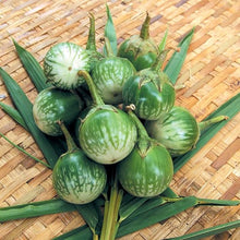 Round Eggplant Seeds (Solanum melongena) for a reliable harvest in the small-space home gardens