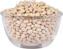 Non-GMO Navy Bean seeds growing into bushy plants that produce small, white beans commonly used in baked and soup recipes