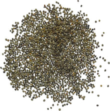 Mixed Poppy Seeds (Papaver spp.) for a bright addition to the Flower Bed & Garden