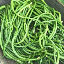 Long Snake Bean Seeds for a productive addition to the vegetable patch