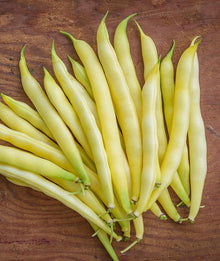 Golden Wax Bean Seeds for growers stocking the Vegetable Gardens