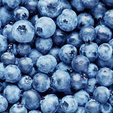 Blueberry Super Sweet Seeds (Vaccinium corymbosum) for growers planting the fruit garden edible landscape