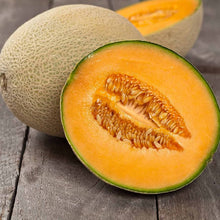 Cantaloupe Seeds (Cucumis melo) for growers stocking the vegetable patch and backyard garden