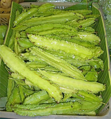 Winged Bean Seeds (Psophocarpus tetragonolobus) for a fresh homegrown crop from the Vegetable Patch