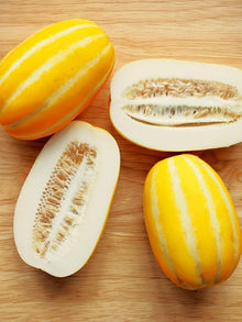 Korean Melon Seeds (Cucumis melo) for a fresh homegrown crop from the urban gardens and raised beds