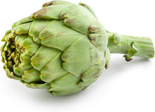 Jerusalem Seeds (Cynara scolymus) for a bright addition to the vegetable patches and home gardens