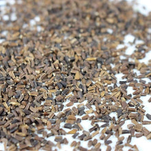 Chrysanthemum Seeds (Chrysanthemum morifolium) for a lasting display in the Flower Bed & Garden
