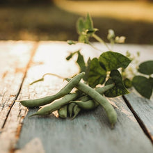 Knife Bean Seeds for growers stocking a kitchen garden