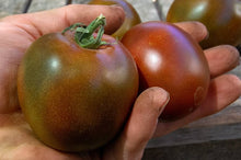 Black Prince Organic Tomato Seeds valued by growers for delicious Slicing