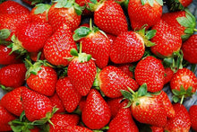 Climbing Strawberry Seeds (Fragaria x ananassa) for sweet homegrown fruit in the Vegetable Patch & Urban Garden