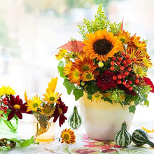 Marigold Tagetes Erecta Pusa Basant Yellow Drought-Tolerant Seeds for reliable seasonal color