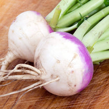 Purple Top Rutabaga Seeds (Brassica napus) known for microgreens or Root Planting