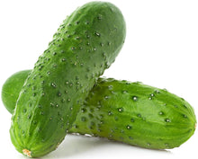 Cucumber Seeds for home growers seeking a reliable harvest