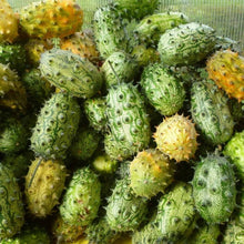 Kiwano Melon Seeds for a fresh homegrown crop from the DIY Home Garden & Vegetables