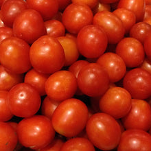 Dolgokhranyashchysya Tomato Seeds valued by growers for storage & Transport