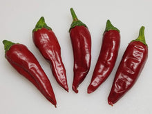 Plant Seeds (Guajillo pepper) for growers stocking the backyard vegetable beds or raised containers