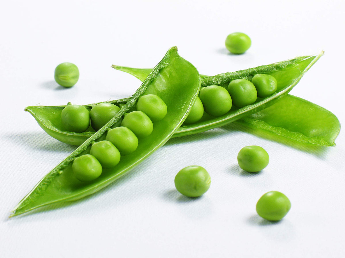 Sugar Snap Peas Seeds for growers stocking a kitchen garden
