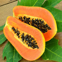 Organic Papaya Seeds prized for tropical Fruit