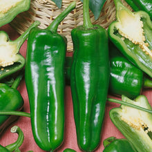 Italian Pepperoncini Seeds known for pickling