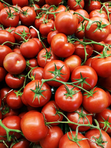 Better Bush VFN Tomato Seeds (Solanum lycopersicum) for a reliable harvest in the Urban Container Beds
