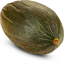 Melon Seeds (Cucumis melo) for a reliable harvest in the kitchen garden or raised beds