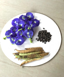 Purple Butterfly Bush Seeds (Buddleja davidii) for a bright addition to the Flower Bed & Urban Garden