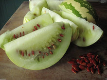 Red Citron Watermelon Seeds (Citrullus lanatus) for a reliable harvest in the summer backyard gardens
