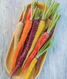 Rainbow Blend Carrot Seeds for growers stocking a kitchen garden