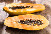 Giant Papaya Seeds (Carica papaya) for a sweet addition to the home orchard