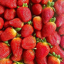 Organic Strawberry Seeds grown for sweet, Juicy Berries