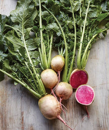 Watermelon Radish Seeds (Raphanus sativus) for a reliable harvest in the vegetable patch salad bed