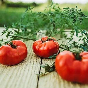 Tomato Variety for planting in home garden.