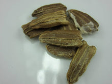 Myanmar Flaschenkürbis Seeds (Lagenaria siceraria) prized for growing versatile, fast-growing gourds used in crafts, cooking, and