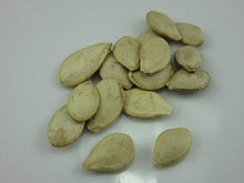 Mini Bottle Gourd Seeds (Lagenaria siceraria) for productive rows in the kitchen garden and vertical gardening