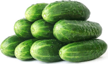 Cucumber Seeds for home growers seeking a reliable harvest