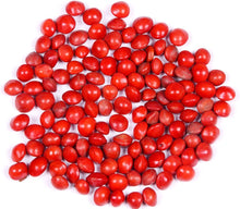 Scarlet Red Nasturtium Seeds for fast cover along a fence or wall