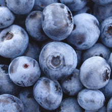 North American Blueberry Seeds for a homegrown harvest from the Fruitful Garden Growing