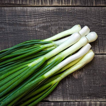 Onion Allium Fistulosum Hardy White Bunching Seeds for a reliable harvest in the Garden Rows