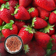 Mini Strawberry Seeds known for small, Sweet Strawberries
