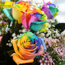 Holland Rainbow Rose Seeds for growers seeking a long-blooming display