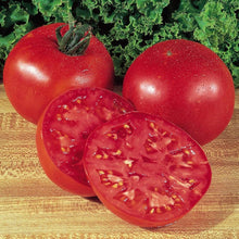 Big Boy Tomato Seeds (Solanum lycopersicum) known for backyard gardening and high fruit yield