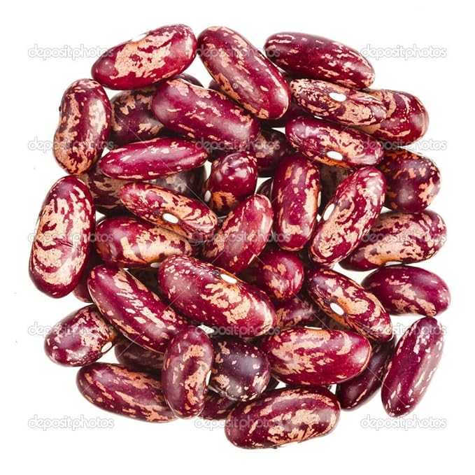 Dominican red spotted kidney beans legume seeds