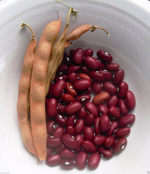 Heirloom Non-GMO Dark Red Kidney Beans Seeds