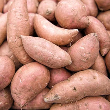 Sweet Potato Seeds (Ipomoea batatas) for a fresh homegrown crop from the Vegetable Patch