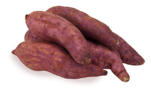 Giant Sweet Potato Ipomoea Batatas Seeds for home growers seeking a reliable harvest